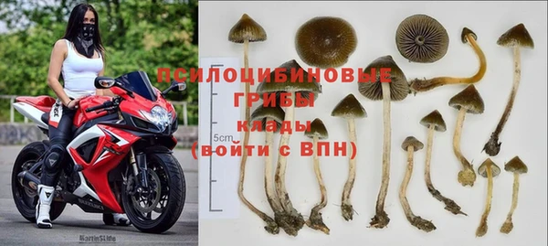 герыч Аркадак