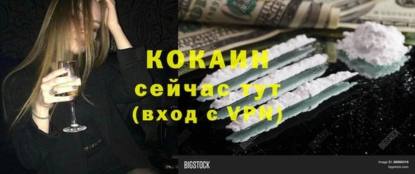 прущая мука Арсеньев